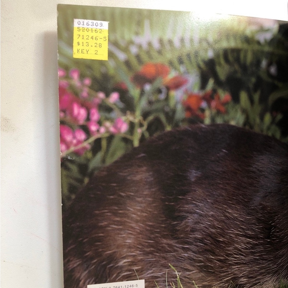 The Rabbit Handbook - Picture 3 of 4